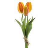 Tulipán Sally 3x oranžový 25cm